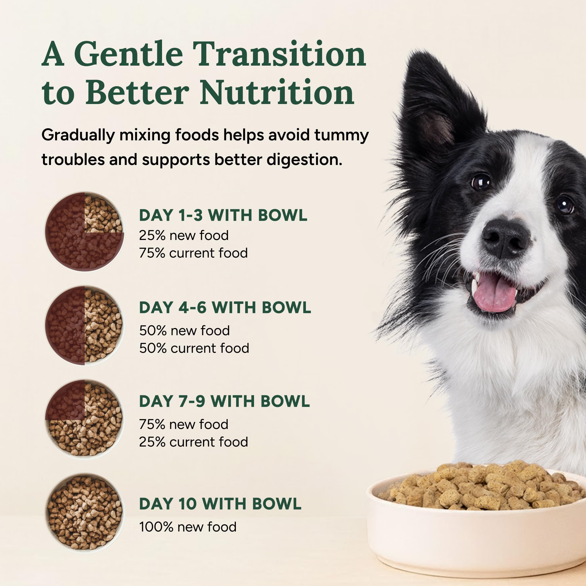 360 Pet Nutrition Freeze-Dried Raw Dog Food – Multi-Protein with Beef, Chicken, Fish, Liver & Organs, High Protein, Omega-3s, Fruits, Veggies & Superfoods, Grain-Free, No Fillers, 3 lb – Made in USA