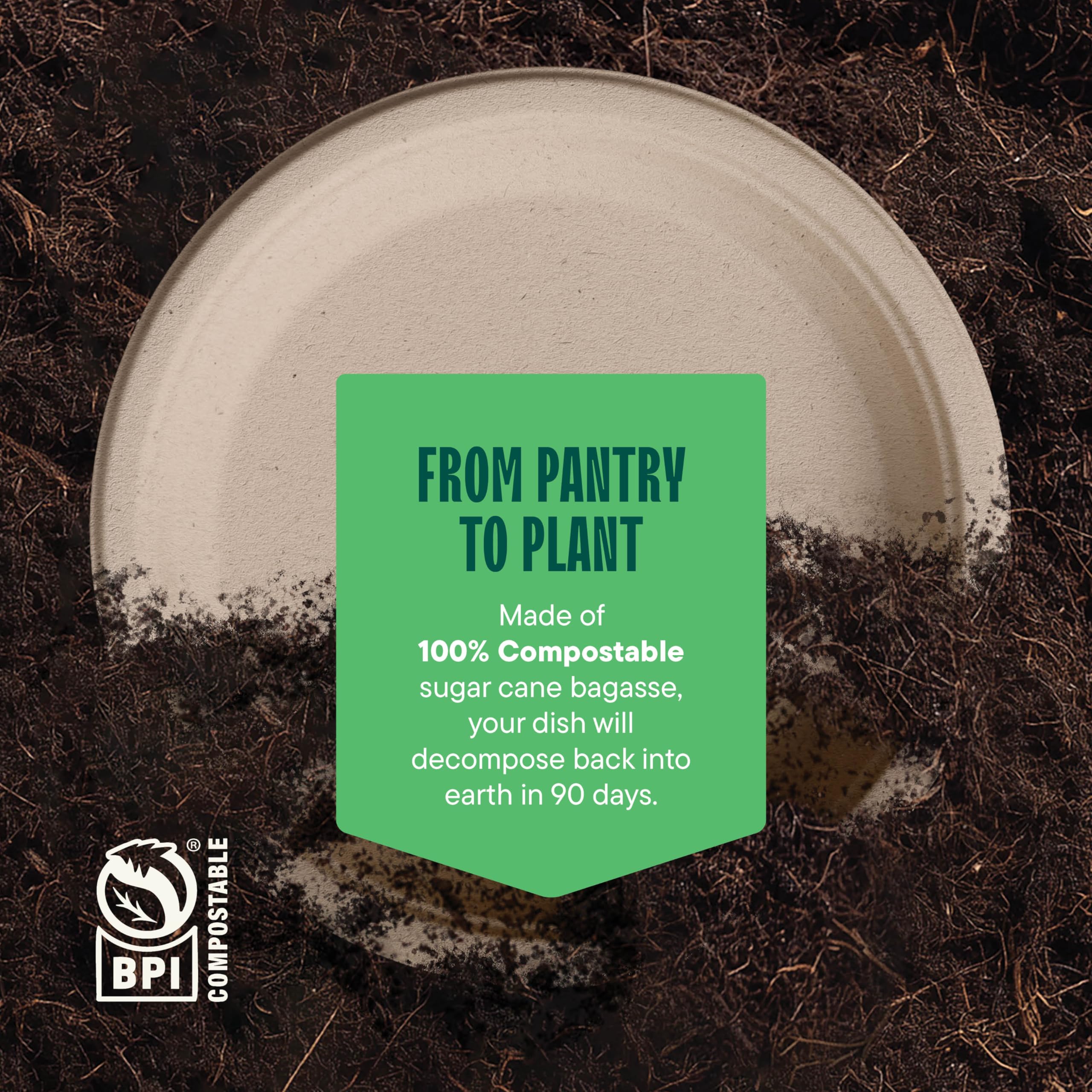 100% Compostable Paper Plates, Heavy Duty Disposable Plates [125-Pack] 9 Inch Plates - Eco-Friendly, Biodegradable Sugarcane Bagasse, Natural Unbleached Brown 9" Dinner Paper Plate Disposable